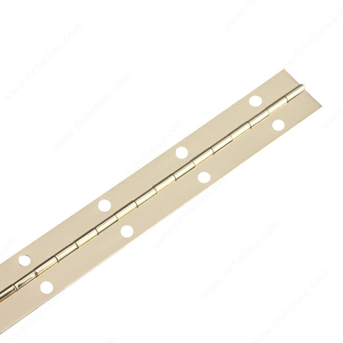 Piano Hinge 9mm x 400mm - Dreamworks Model Products - #1 in Radio  Controlled Jets and Accessories